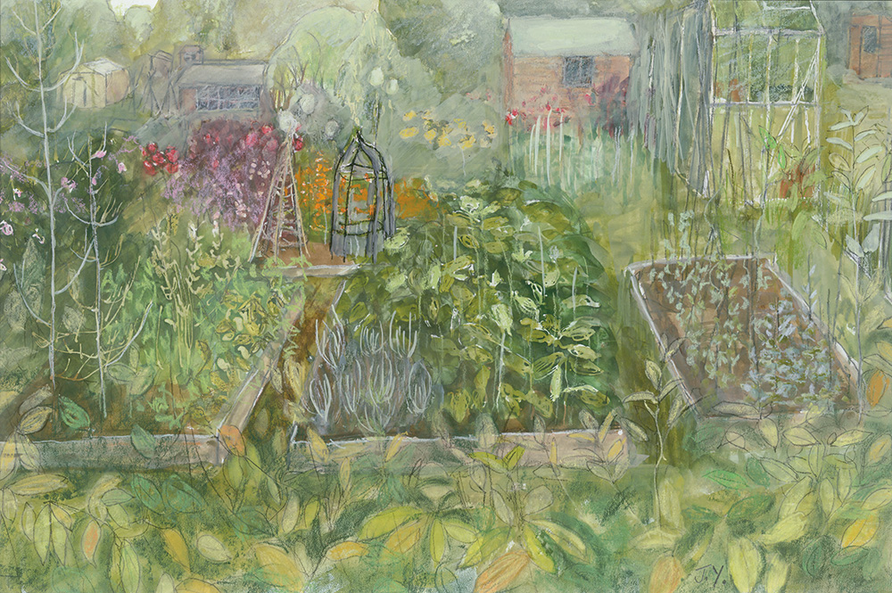 Allotments summer VegGarden
