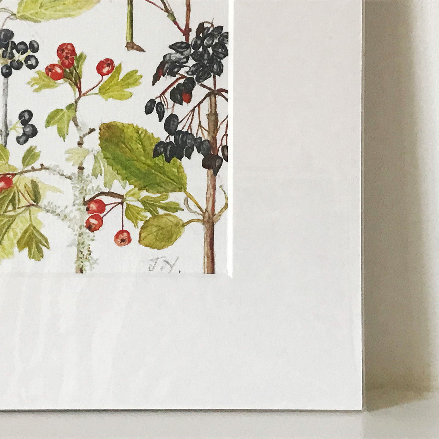 Autumn Hedgerow Corner