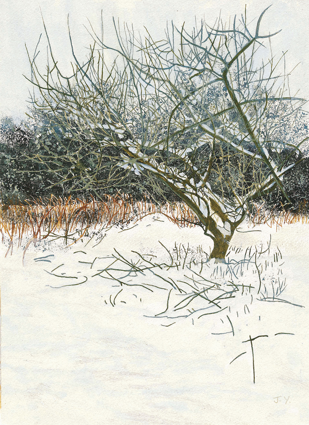 Frosty branches
