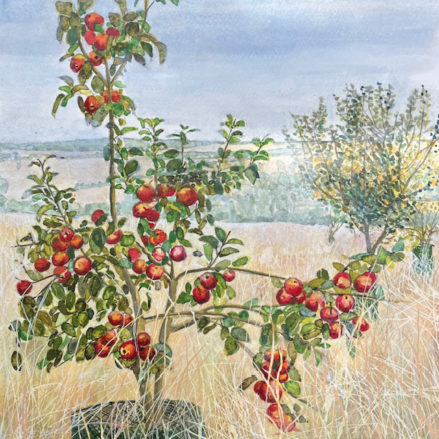 Heritage Apple Orchard