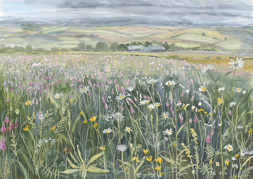 JYarrow_SainfoinField_Summer