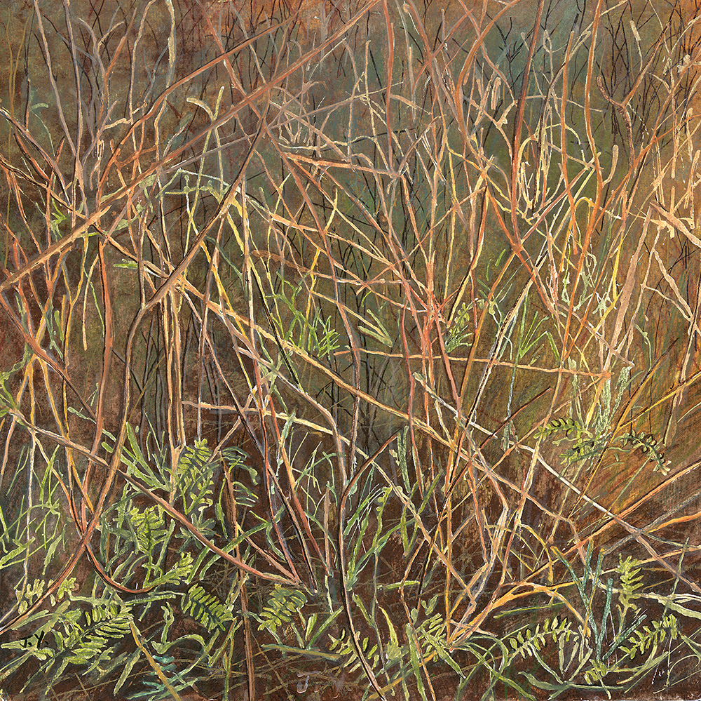 JYarrow_Sainfoin_Winter