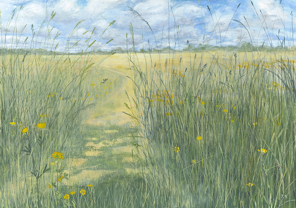 JudithYarrow_PathThroughTheMeadow_Buttercups