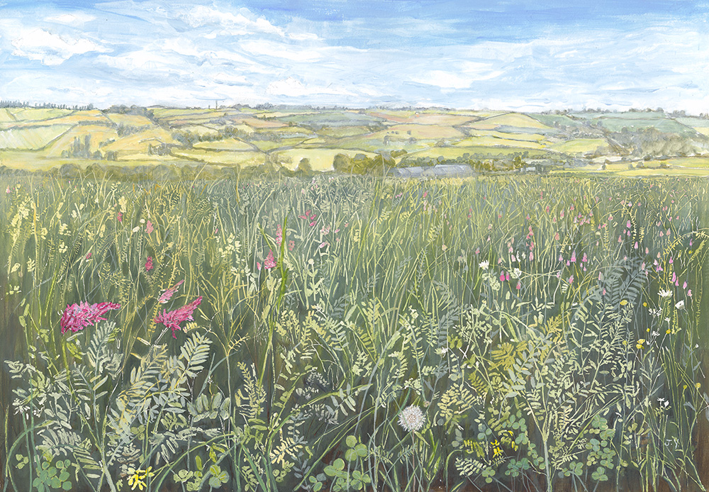 JudithYarrow_SainfoinFieldoverlookingEvenlodeValley_May