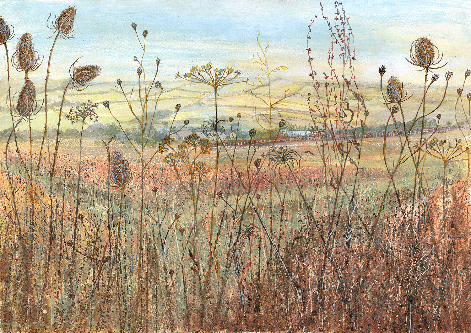 Looking through seedheads