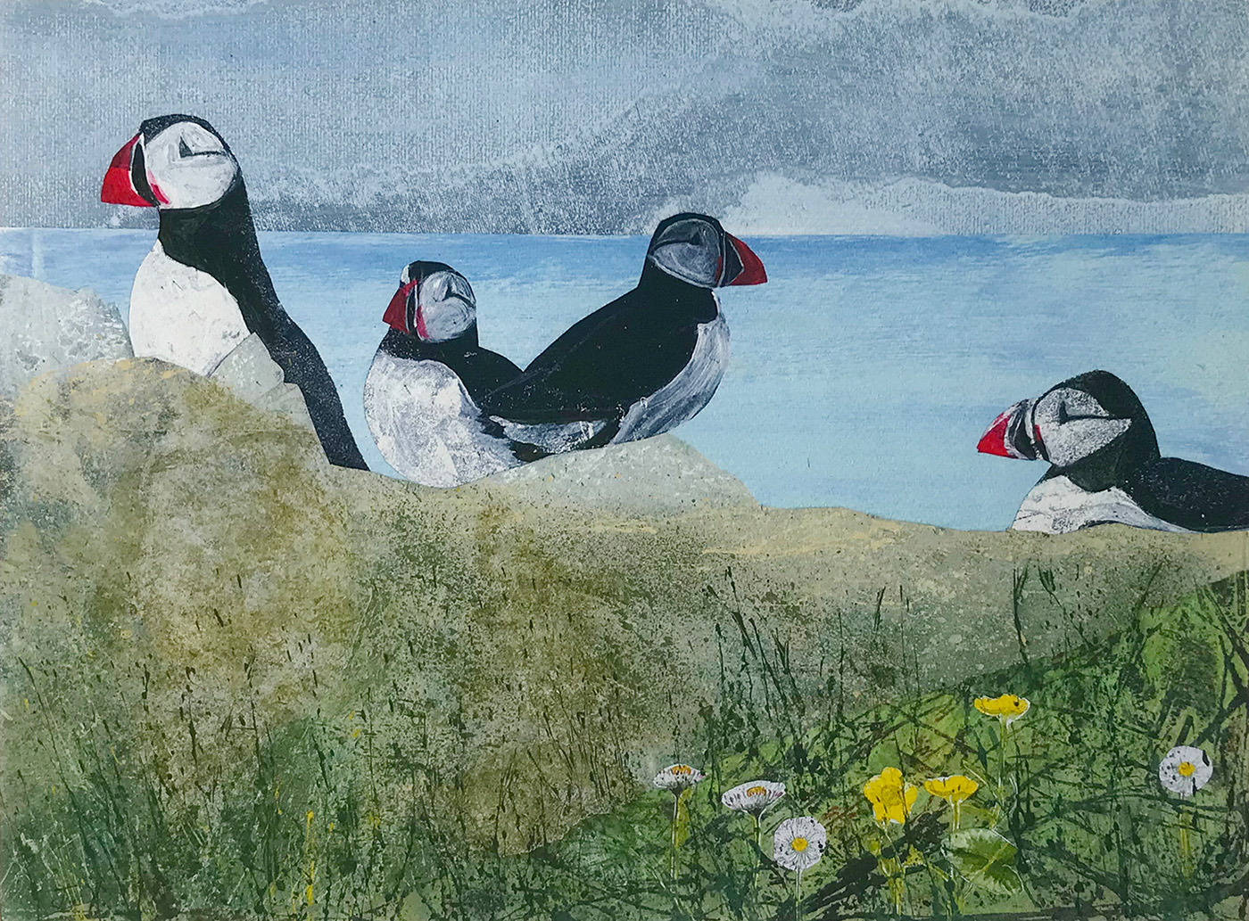 Puffins Scan
