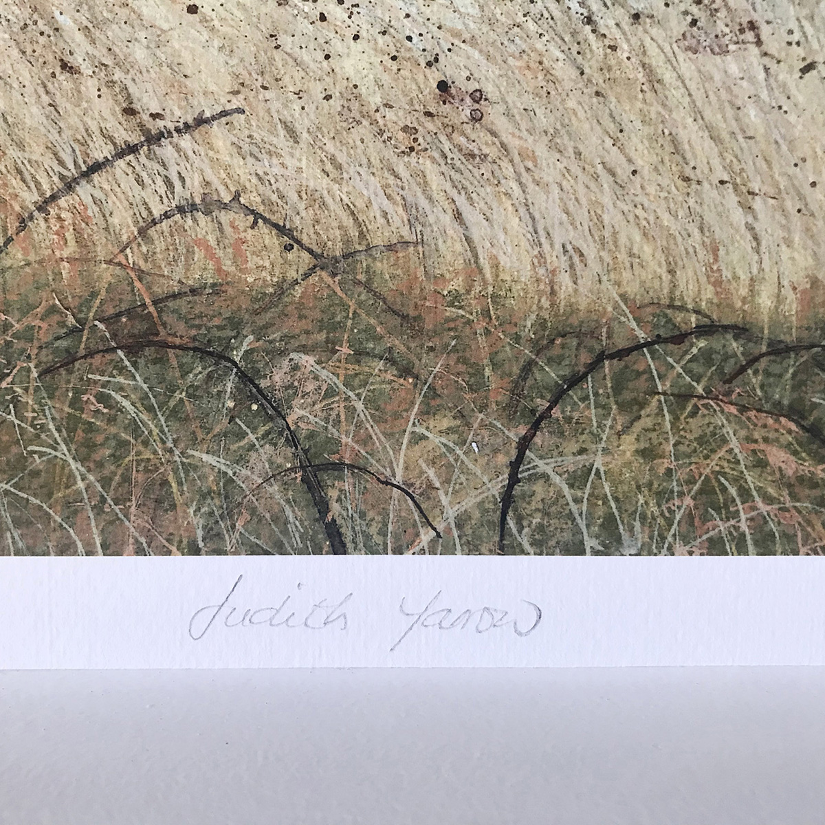 Rathlin Lough Reeds Signature