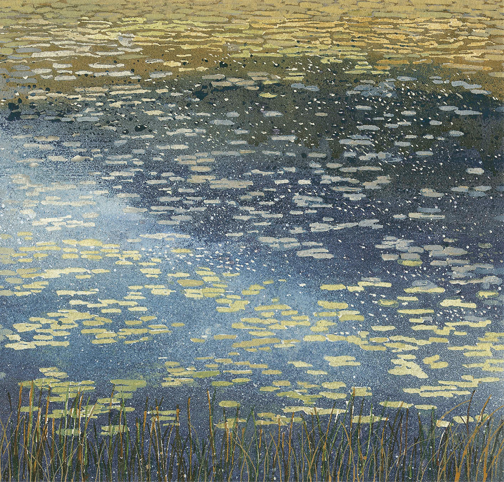 Rathlin Waterlillies