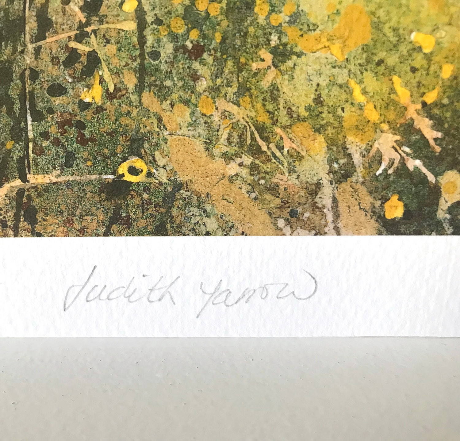 Sheltered Spot Signature