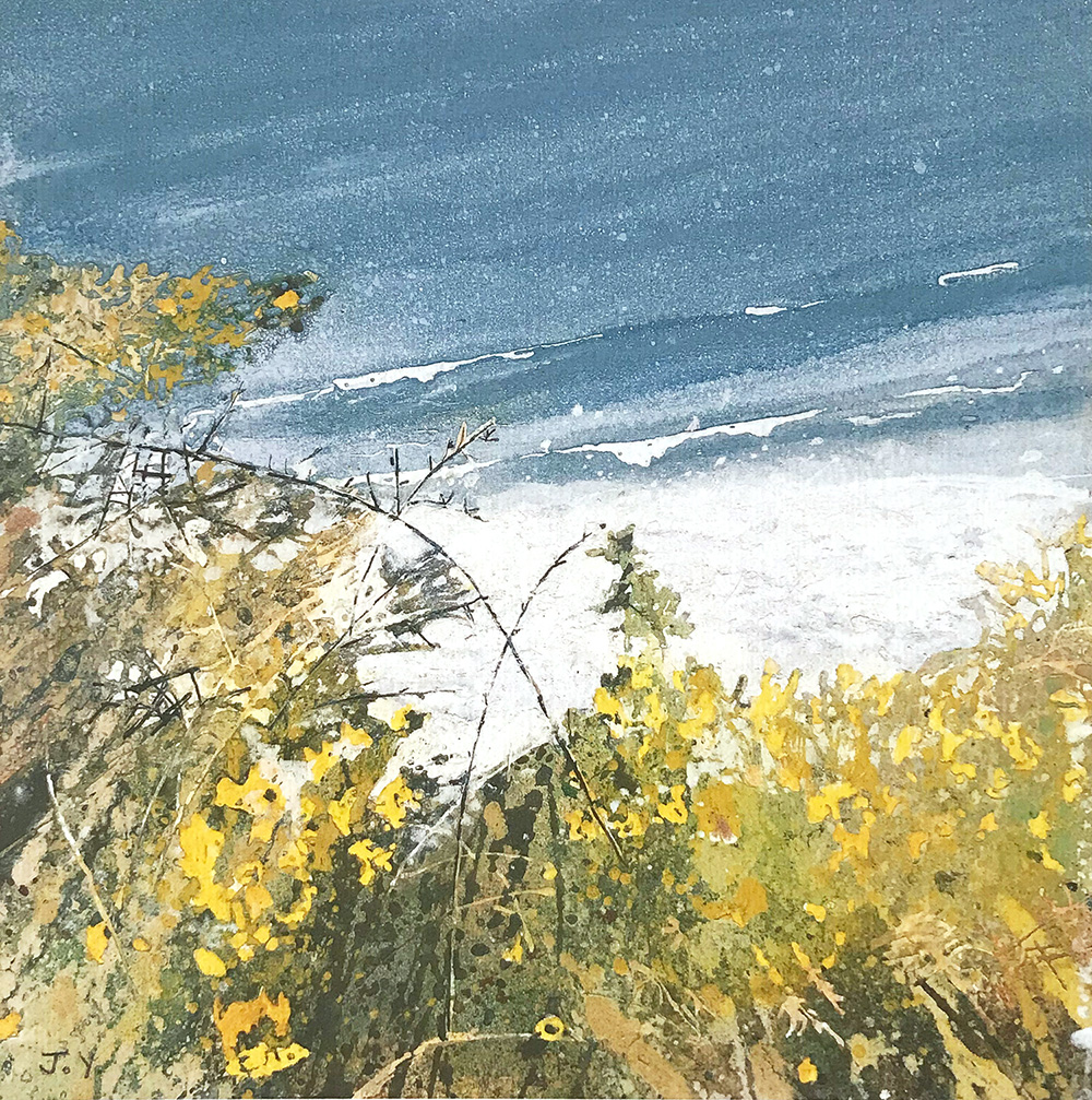 Sheltered Spot_