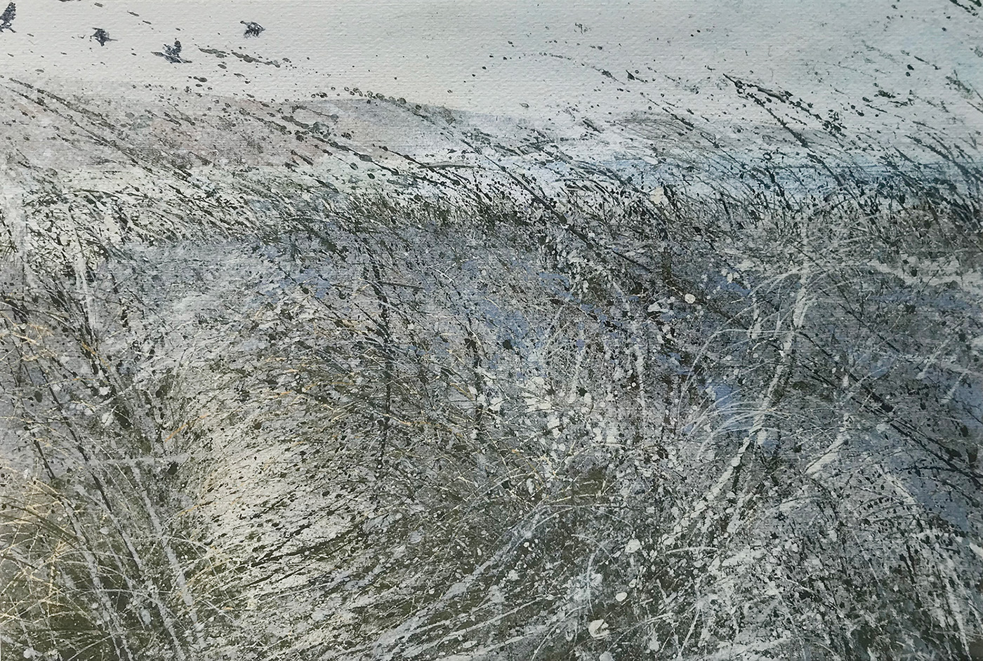 Shetland Breckon Sands scan