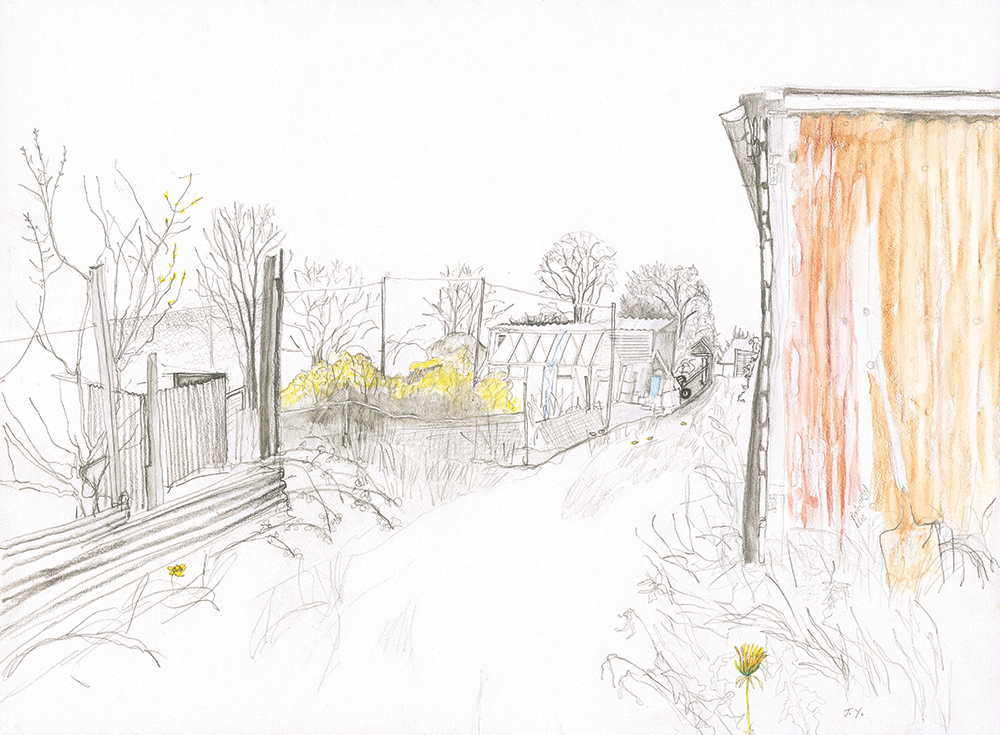 Spring Allotments