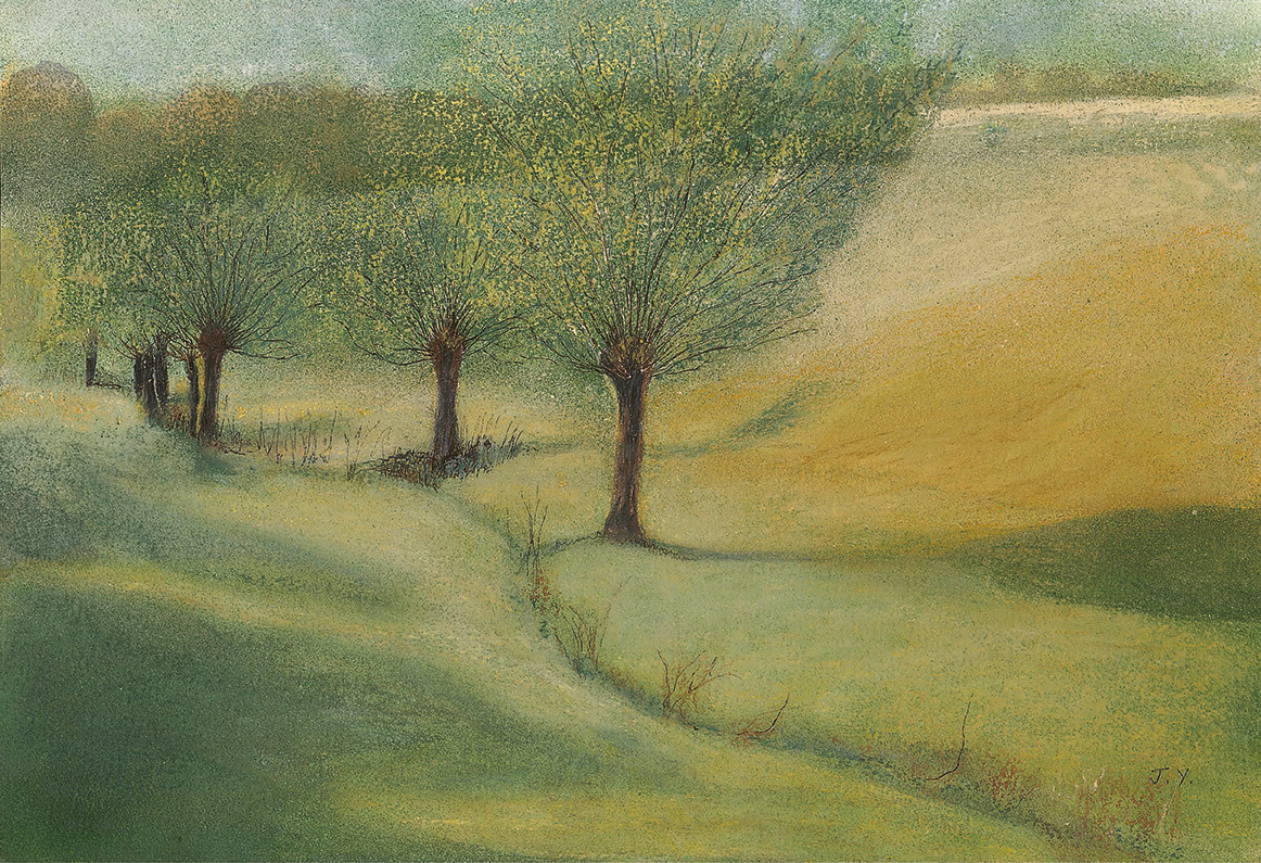 Swinbrook Willow