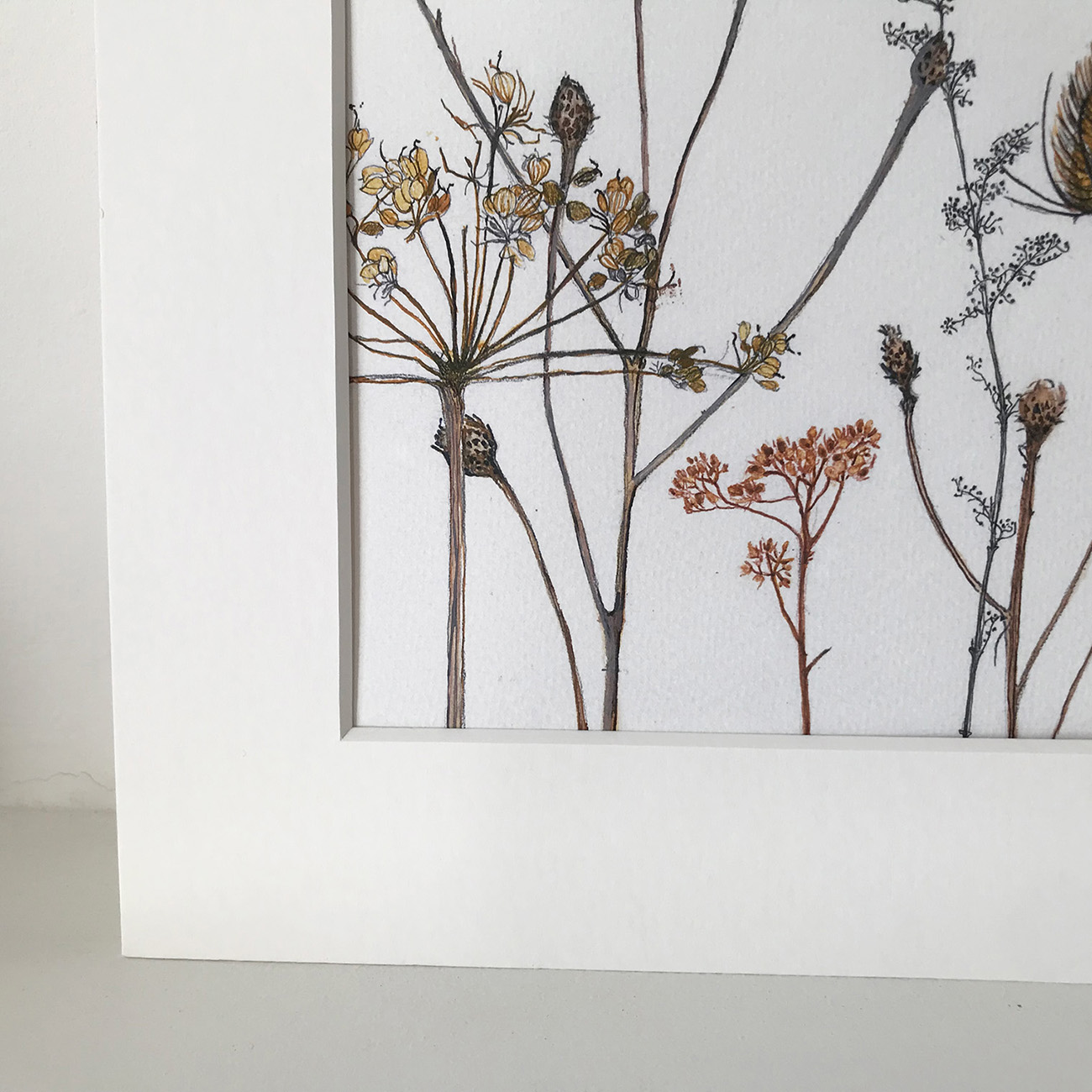 WINTER SEEDHEADS_Corner