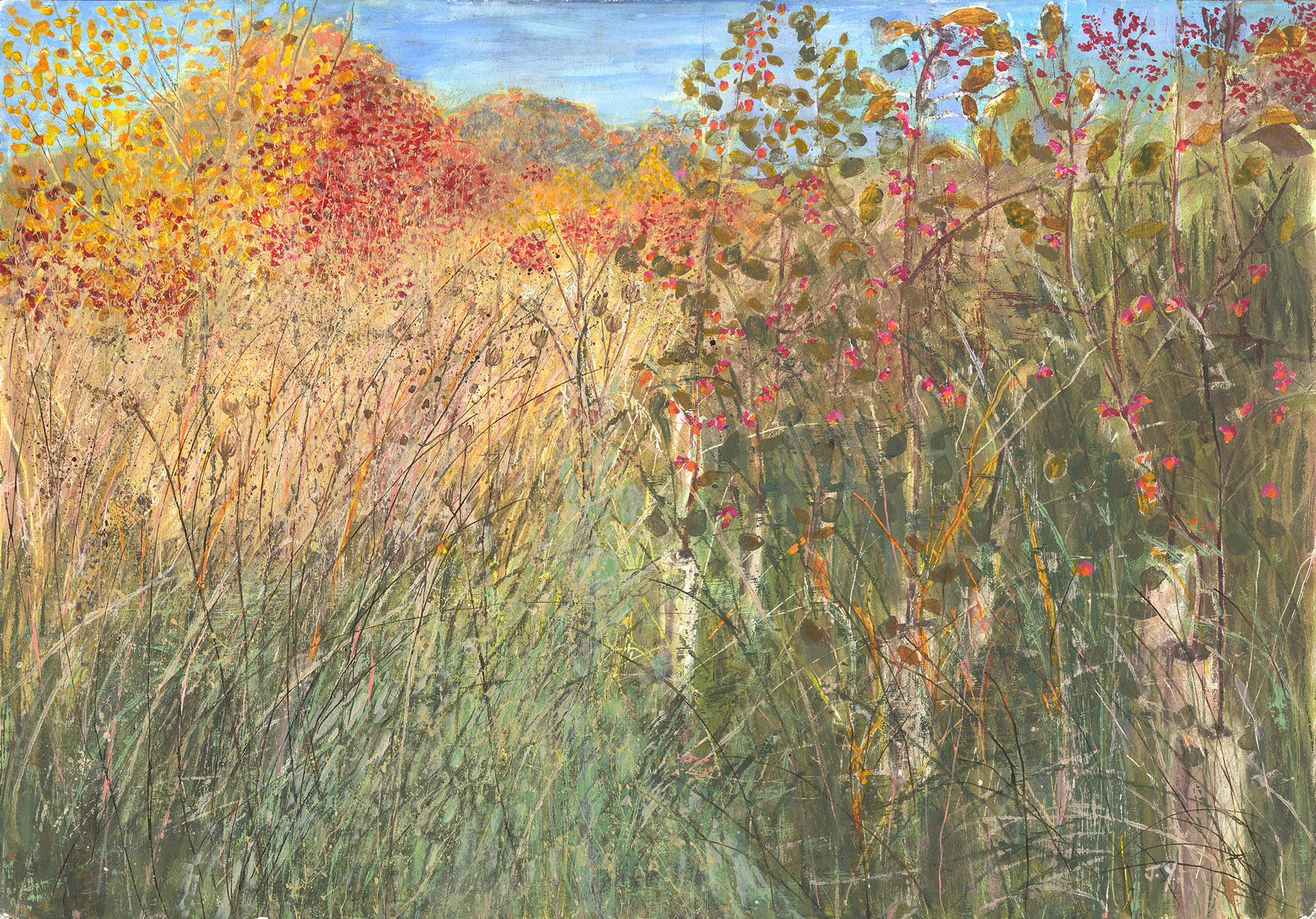WOODLAND MARGIN with spindle berries. Autumn