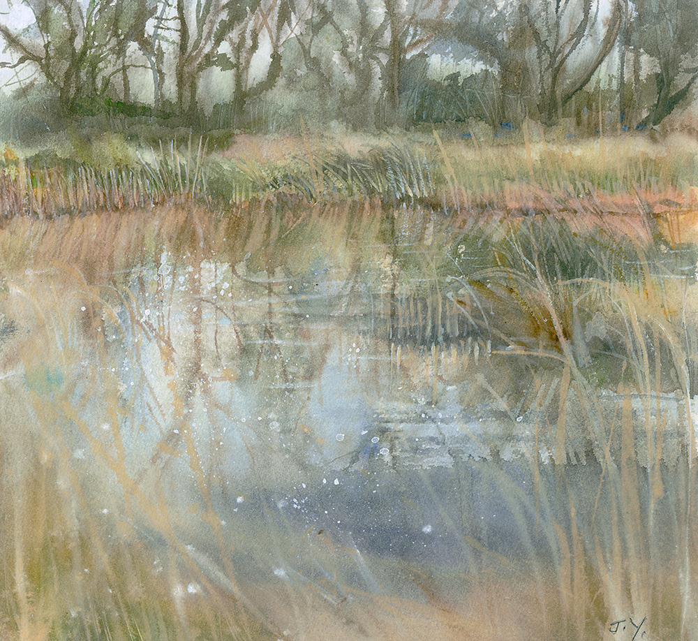 Yarrow_WinterPond
